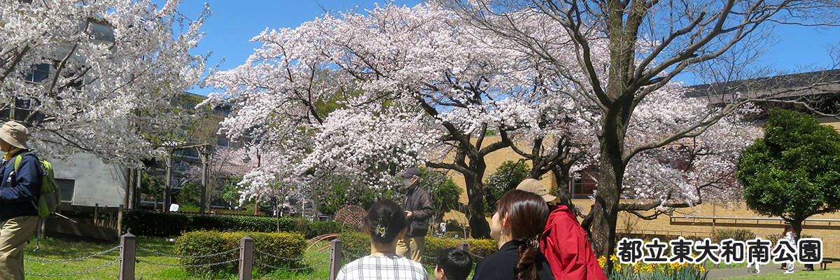 写真：都立東大和南公園