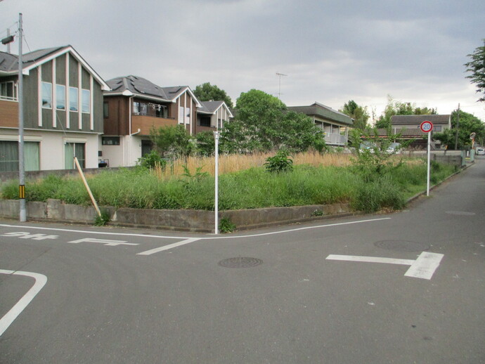 写真：公売