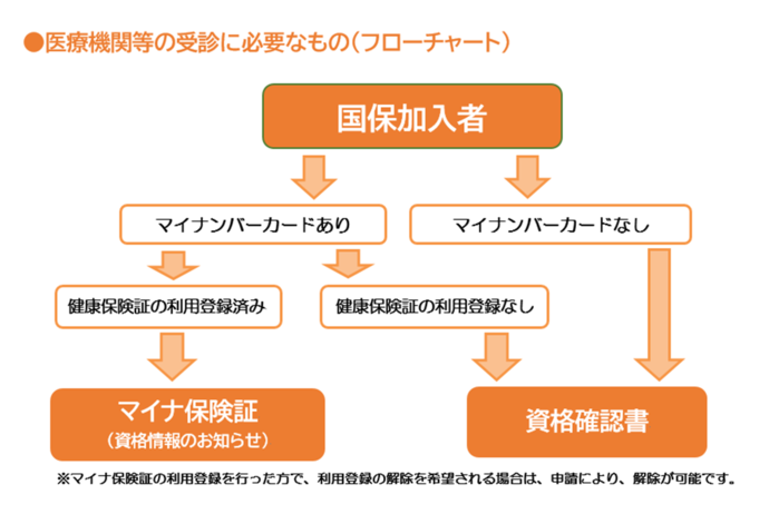 医療機関等の受診に必要なもの（フローチャート）