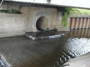 写真：道路排水管の流出口