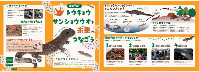 紹介リーフレット「トウキョウサンショウウオを未来へつなごう」
