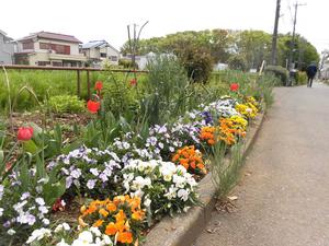 写真：仲原緑地5