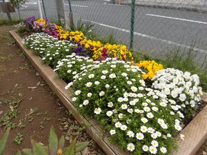 写真：山神前公園