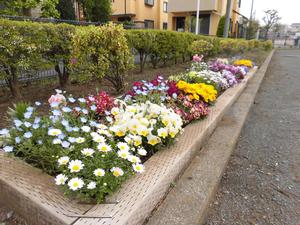 写真：新海道公園