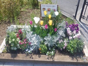 写真：末広公園