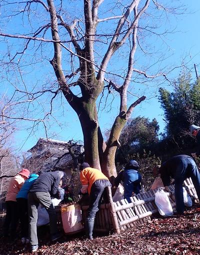 写真：調査している隊員のみなさん