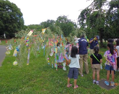 七夕の笹飾りを公園に飾る子どもたちの写真