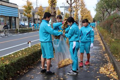 落ち葉を掃いて集める東大和高校の生徒の写真