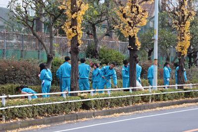 歩道の落ち葉掃きをする東大和高校の生徒たちの写真