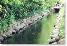 野火止用水の風景写真