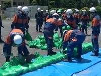 写真：水防工法訓練の様子2