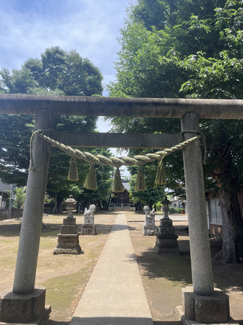 正面から見た清水神社の写真