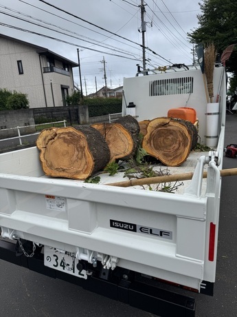 伐採後