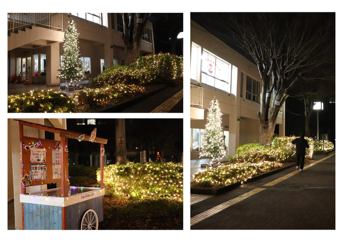 イルミネーションの様子