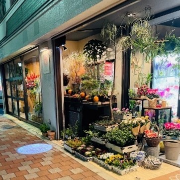 Flower Hanana